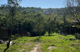 Casa 50mp, pe un teren de 1000mp, in Leamna de Jos