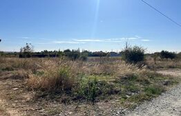 Teren 500 mp, in Albesti 