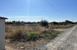 Teren 500 mp, in Albesti 