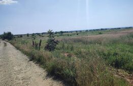 Teren 7000 mp , zona Șimnicu de Jos