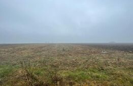 Parcele teren intravilan Isalnita 400-4300 mp, utilitati la strada