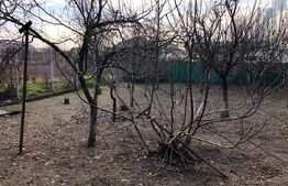 3 Case individuale , teren 860 mp, Isalnita