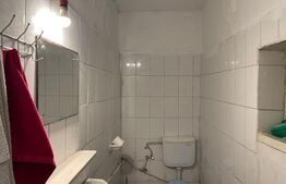 Casă semifinisată, P+M, 1000 mp de teren, zona Catargiu