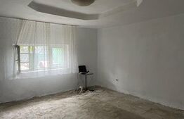 Casă semifinisată, P+M, 1000 mp de teren, zona Catargiu