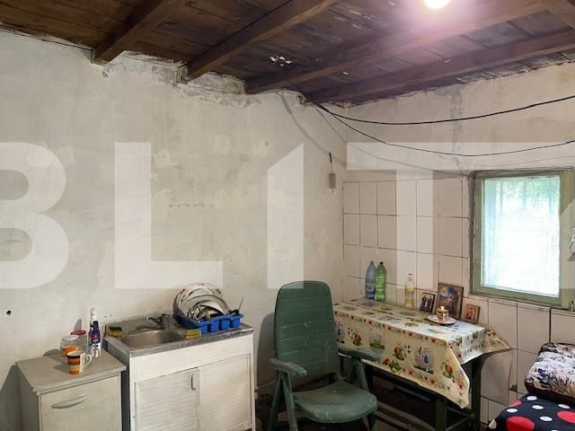 Casa de vânzare 5 camere Lascar Catargiu - 150730CV | BLITZ Craiova | Poza9