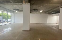 Spatiu comercial, 175 mp, Zona Ultracentrala