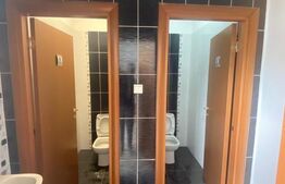 Spatiu comercial, 175 mp, Zona Ultracentrala