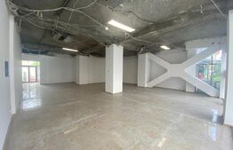 Spatiu comercial, 175 mp, Zona Ultracentrala