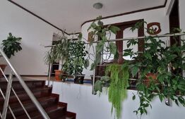 Casa individuala P+M, 200mp , teren 486 mp, Simnicul de Jos