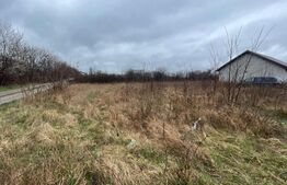 Oportunitate! Teren intravilan de 500 mp , Carcea 