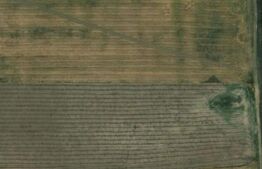 Teren extravilan, zona Carcea, cu o suprafata de 12218 mp