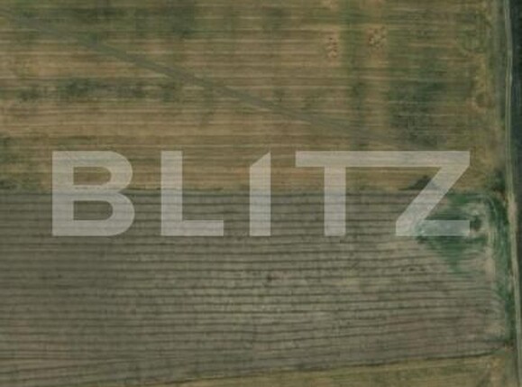 Teren de vânzare Carcea  - 150911TV | BLITZ Craiova | Poza1