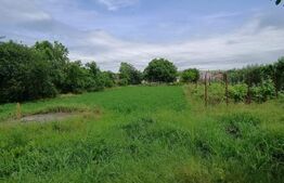 Casa P+M, 5 camere, 160 mp utili, teren aferent de 1757 mp, zona Bradesti 