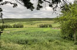 Casa bătrânească, 3055 mp teren, zona Plesoi (accepta schimb)