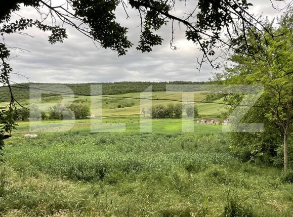 Casa de vânzare 4 camere Nord-Vest - 150971CV | BLITZ Craiova | Poza2