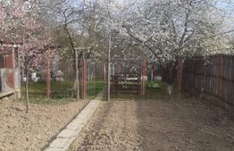 O casa pentru familia ta, spatioasa si confortabila Filiasi