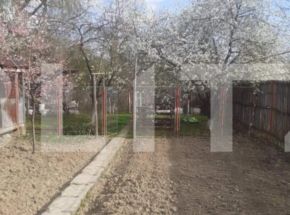 Casa de vânzare 5 camere Filiaşi - 151113CV | BLITZ Craiova | Poza3