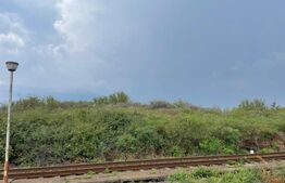 Teren intravilan 4000 mp, Carcea