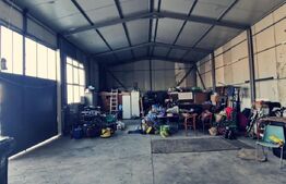 Hala 145 mp și 775 mp teren, zona Mirage Ballroom!