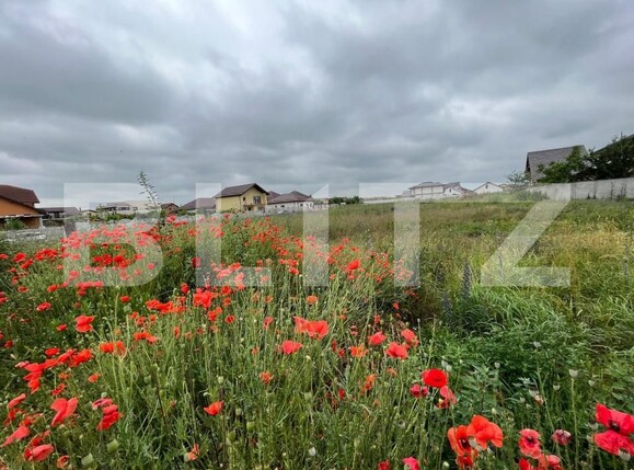 Teren de vânzare Sud-Est - 151319TV | BLITZ Craiova | Poza7