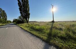 Teren IV/EV 1.800 mp, la asfalt, zona Cârligei - Palilula