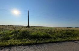 Teren IV/EV 1.800 mp, la asfalt, zona Cârligei - Palilula