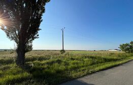 Teren IV/EV 1.800 mp, la asfalt, zona Cârligei - Palilula