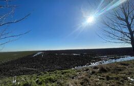 Investitie! Teren intravilan 30000 mp, zona Peugeot-Pielesti
