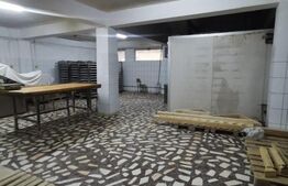 Spatiu comercial-brutarie, 160 mp, Filiasi