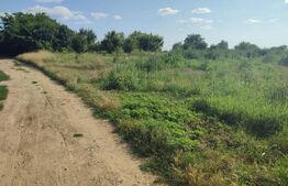 Teren 4761 mp , zona Șimnicul de Jos