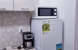 Garsoniera moderna, Centrala, Zona Patria