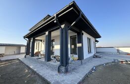 Casa la cheie, P+ 1E, 423 mp teren, toate utilitățile, mobilata, Balta Verde