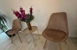 Camera tip salon pentru Manichiura, zona Ultracentrala