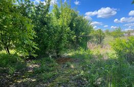 Casa P+1, teren 500mp , zona Malu Mare