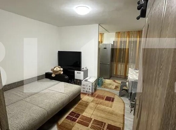 Garsonieră de vânzare Lapus Arges - 151558AV | BLITZ Craiova | Poza1