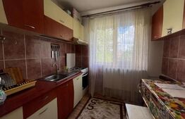 Apartament cu 2 camere, semidecomandat, cartier Valea Roșie, zona Piață