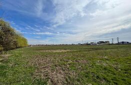 Teren intravilan 90.006 mp, front de 490 m, toate utilitățile, Pielești