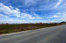 Teren intravilan 90.006 mp, front de 490 m, toate utilitățile, Pielești