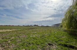 Teren intravilan 90.006 mp, front de 490 m, toate utilitățile, Pielești