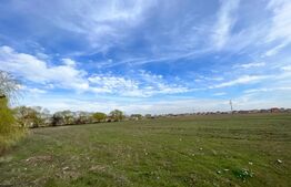 Teren intravilan 90.006 mp, front de 490 m, toate utilitățile, Pielești