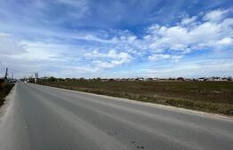 Teren intravilan 90.006 mp, front de 490 m, toate utilitățile, Pielești