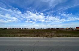 Teren intravilan 90.006 mp, front de 490 m, toate utilitățile, Pielești