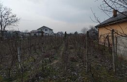 Teren intravilan 1811 mp, cu utilități, zona Malu Mare!