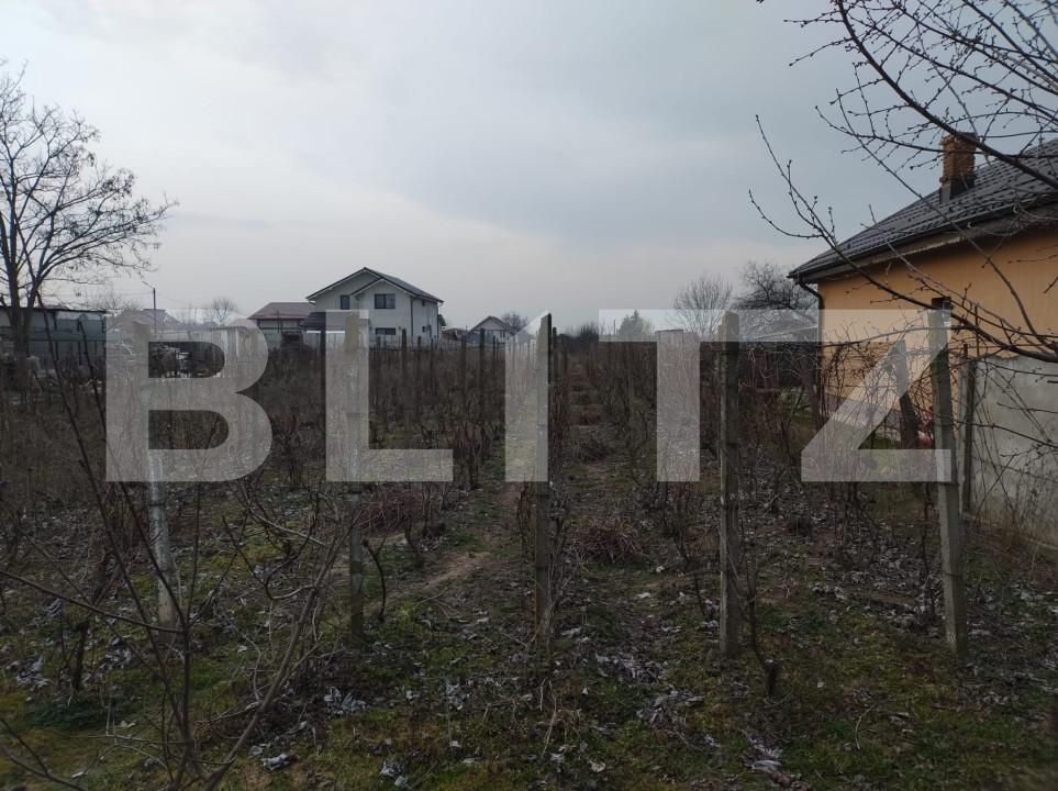 Teren de vânzare Malu Mare - 151705TV | BLITZ Craiova | Poza4