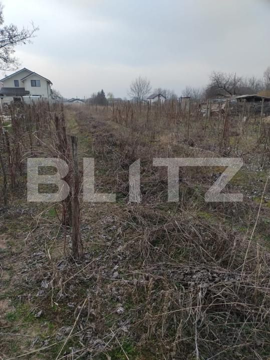 Teren de vânzare Malu Mare - 151705TV | BLITZ Craiova | Poza3