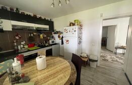 Casă moderna, P+E de 235 mpd, 480 mp teren,  gradina amenajata, zona Damila