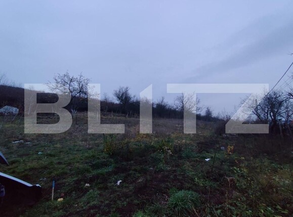 Teren de vânzare Filiaşi - 151754TV | BLITZ Craiova | Poza1