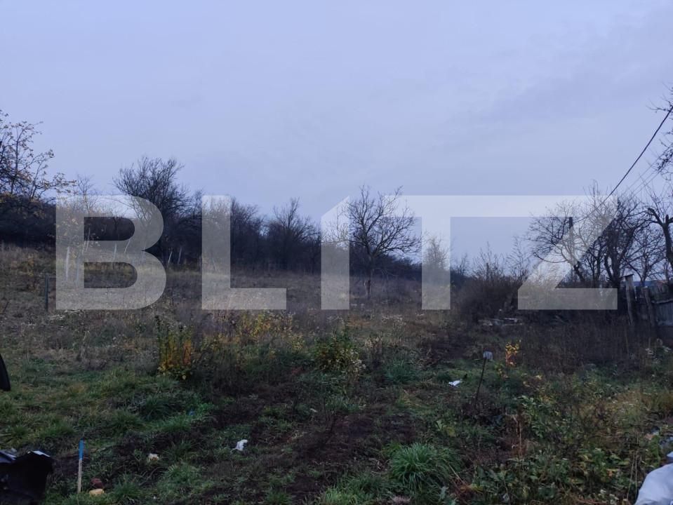 Teren de vânzare Filiaşi - 151754TV | BLITZ Craiova | Poza2