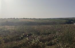 Teren intravilan 5000 mp deschidere 17 ml la DN65 , zona Qfort 