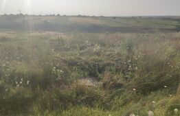 Teren intravilan 5000 mp deschidere 17 ml la DN65 , zona Qfort 